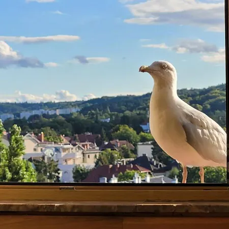 Apartament Sceneria Apartament Sopot